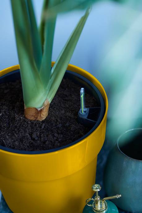 b.for original rund 30cm ocker